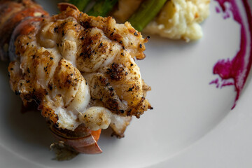 Close up detailed view of a grilled lobster tail on a white plate