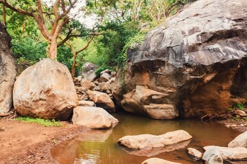 An oasis in the desert at Ndoto Mountains, Ngurunit in Marsabit County, Kenya