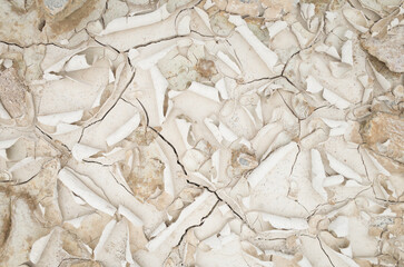 texture of dried ground crack