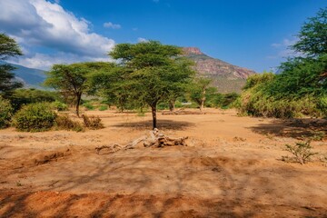 Scenic view of mountains at Ndoto Mountains Range in Ngurunit, Marsabit County, Kenya