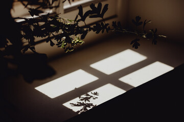 Ombre d'un bouquet de fleurs sur le rebord de la fenêtre © lorabarra