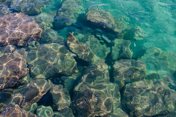 Shimmering transparent green sea water surface with rocks underwater