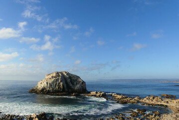 Islote Peñablanca, a beautiful coastal crag in Algarrobo (Valparaiso, Chile) where numerous seabirds nest