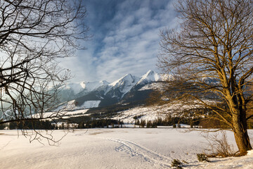 View of the winter snowy landscape with mountains in the background. High Tatras National Park, Slovakia, Europe.