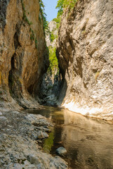 A mountain stream flowing through a canyon narrowed by vertical stone walls. The sharp, rocky cliffs of Ramet Gorges or Cheile Rametului ( Romania) during summer season in a sunny day. Natural tunnel