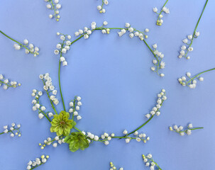 Frame with white flowers Lily of the valley ( Convallaria majalis, May bells, may-lily ), hellebores on blue background with space for text. Top view, flat lay