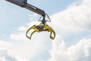 Log loader in detail. Lumber industry.