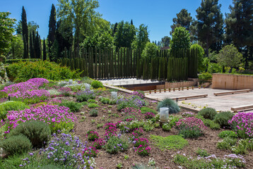 Flower beds and rows of small cypress trees  in Alhambra