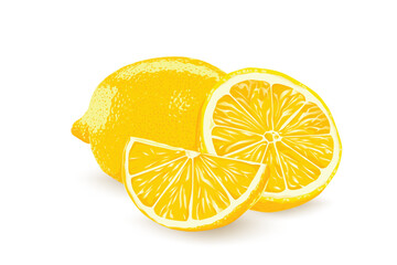 Lemon slice vector illustration on white background