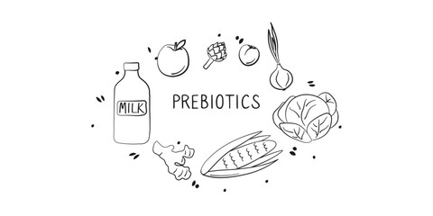Prebiotics-containing food. Groups of healthy products containing vitamins and minerals. Set of fruits, vegetables, meats, fish and dairy.