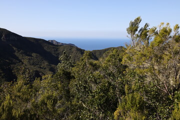 Wanderung im Tenno Gebierge auf Teneriffa