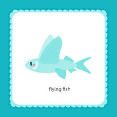 Obraz premium card with flying fish vector illustration