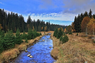 Fototapeta na wymiar Stream Roklansky, Modrava, Sumava, Czech Republic, view on the autumn forest, Sumava National Park, Luzen valley 