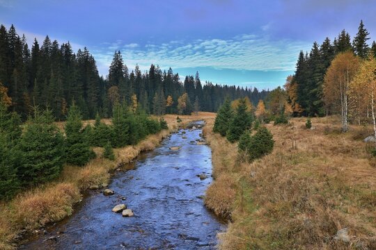 Stream Roklansky, Modrava, Sumava, Czech Republic, view on the autumn forest, Sumava National Park, Luzen valley 