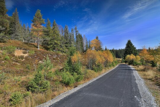 Stream Roklansky, Modrava, Sumava, Czech Republic, view on the autumn forest, Sumava National Park, Luzen valley 