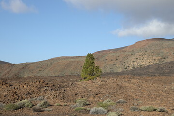 El Teide Im Dezember 2022 teilweise mit Schnee bedeckt