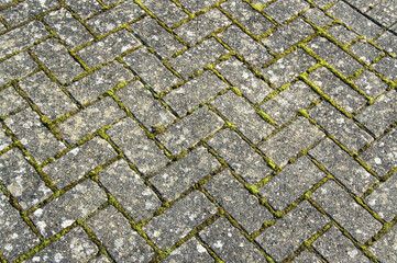 paver bricks