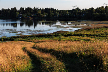 Summer sunny landscape, lake, path, forest, blue sky.