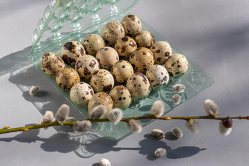 Quail eggs in plastic packaging. Topic: useful, healthy food, natural products, holiday, Easter