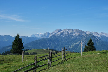 Weide in den Bergen, &Ouml;sterreich