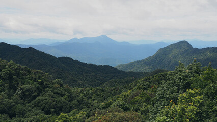 Fototapeta na wymiar Regenwald in Vietnam