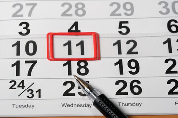 The ballpoint pen lies on the calendar