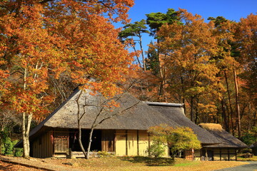 岩手県北上市　紅葉のみちのく民俗村 © yspbqh14