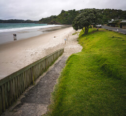 Fototapeta na wymiar Beach in the Waiheke Island in New Zealand