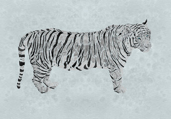 Fototapeta na wymiar abstract design of a standing white tiger with texture of watercolor stains