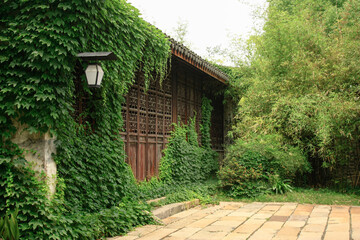 old wooden house covered by green