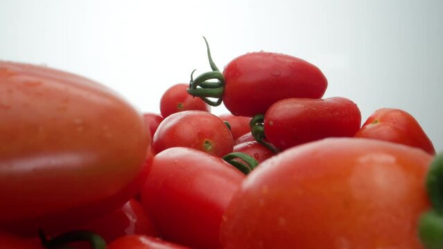 small cherry tomatoes shot close-up and panorama in motion on a white background