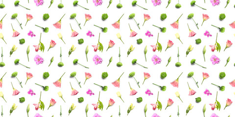 Many different scattered flowers on white background. Pattern for design