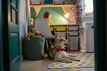 Allergy Child, pet dog and air purifier in children's room