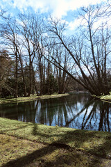 Beautiful scenic road in the park on a spring sunny day