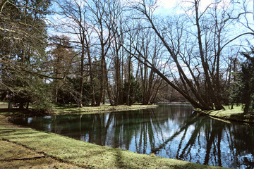 Beautiful scenic road in the park on a spring sunny day