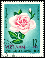 Vintage  postage stamp. The Flowerses of the rose Hong bach.