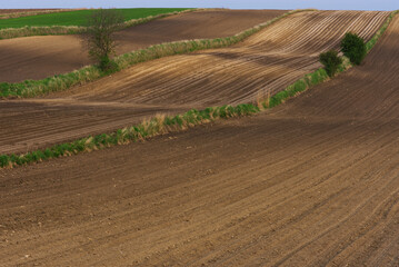 plowed field in spring