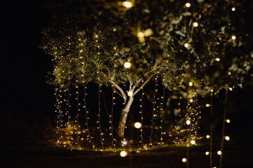 Arbres du jardin décorés de guirlandes lumineuse dans la nuit - obrazy, fototapety, plakaty