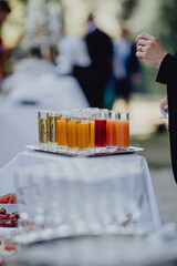 Choix de jus de fruits servis sur un plateau par le barman