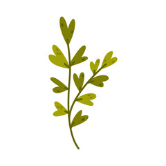 Floral Twig with Green Leaves as Cute Foliage Vector Illustration