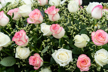 A bunch of white and pink roses that can be used in multiple ceremonies.