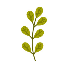 Floral Twig with Green Leaves as Cute Foliage Vector Illustration