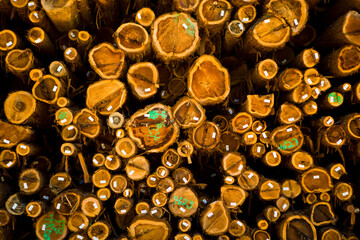 Log stockpiles of California Redwood are stored for future lumber product milling.