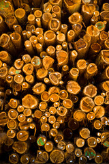 Log stockpiles of redwood are stored for future lumber products milling at a sawmill.
