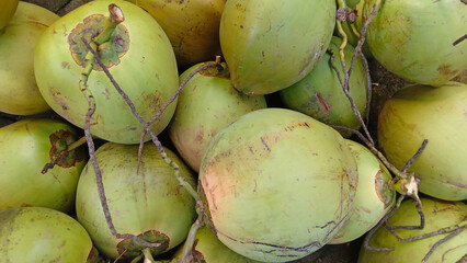 coconut on the ground