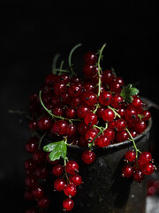 red currant berries