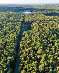 View of the forest from the drone - Hermanow village near Pabianice City