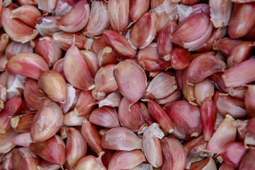 Closeup of bunch of unpeeled garlic in the supermarket in the city of Sao Paulo, Brazil