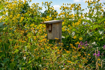 Fototapeta na wymiar Wooden Birdhouse In The Native Plant Garden In Summer