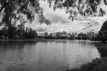 Pr&eacute;dios em um dia nublado. Cidade de S&atilde;o Paulo.